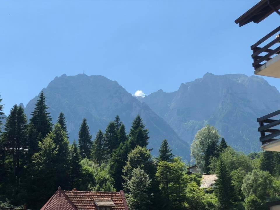 Apartament Extralarge Buşteni エクステリア 写真
