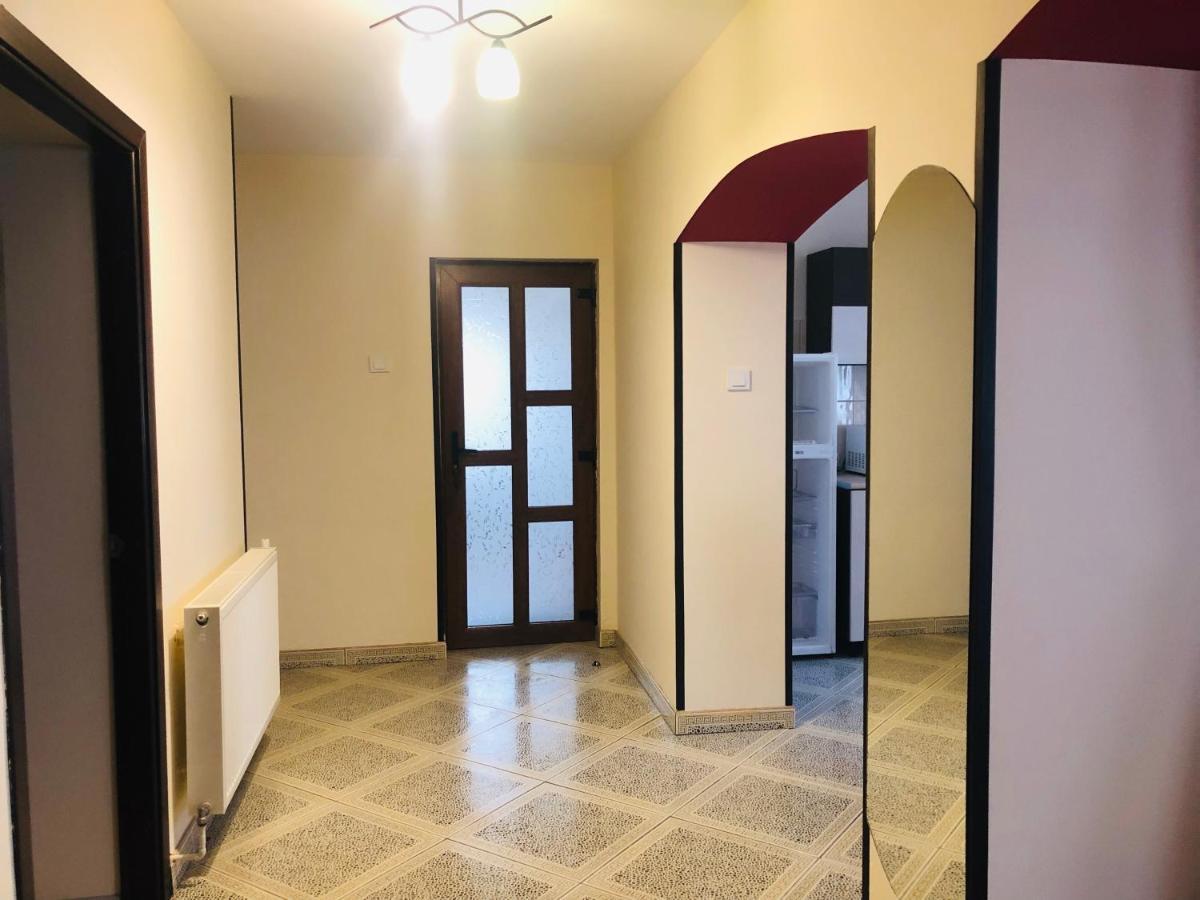 Apartament Extralarge Buşteni エクステリア 写真