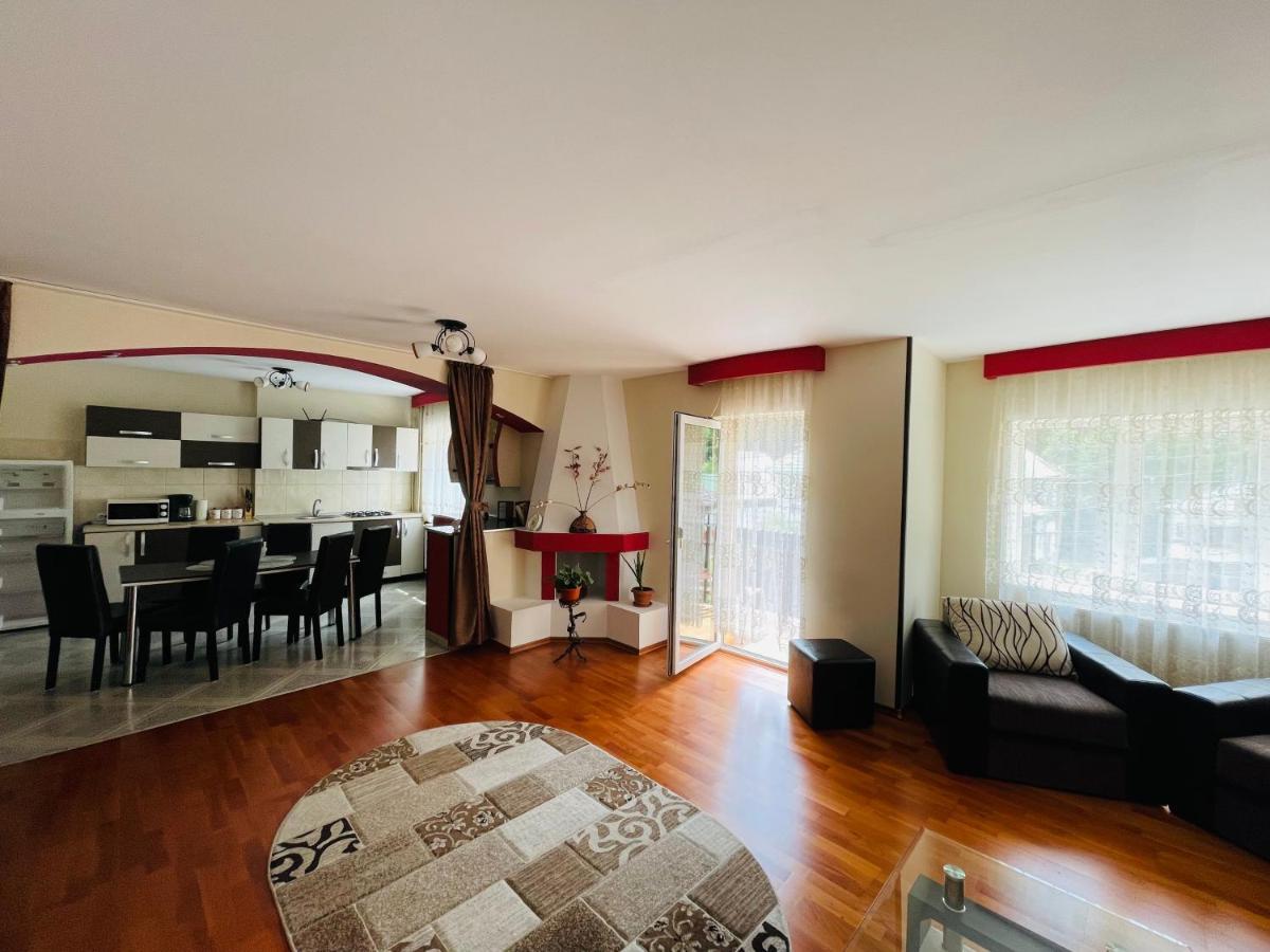 Apartament Extralarge Buşteni エクステリア 写真