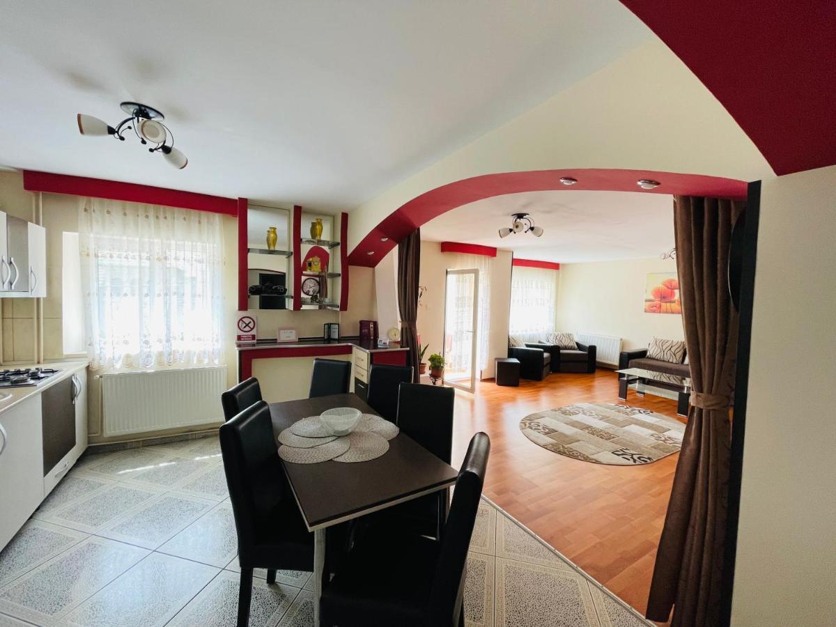 Apartament Extralarge Buşteni エクステリア 写真