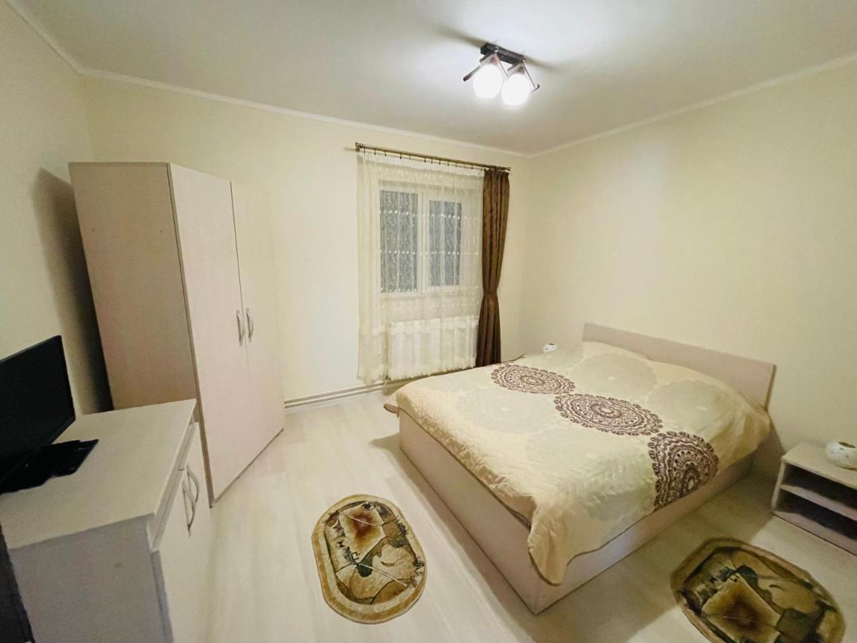 Apartament Extralarge Buşteni エクステリア 写真