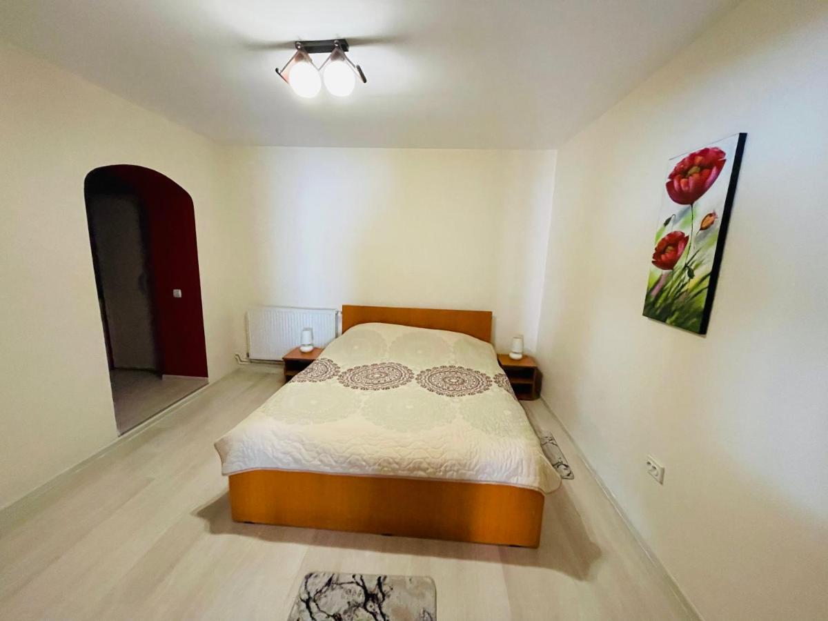 Apartament Extralarge Buşteni エクステリア 写真