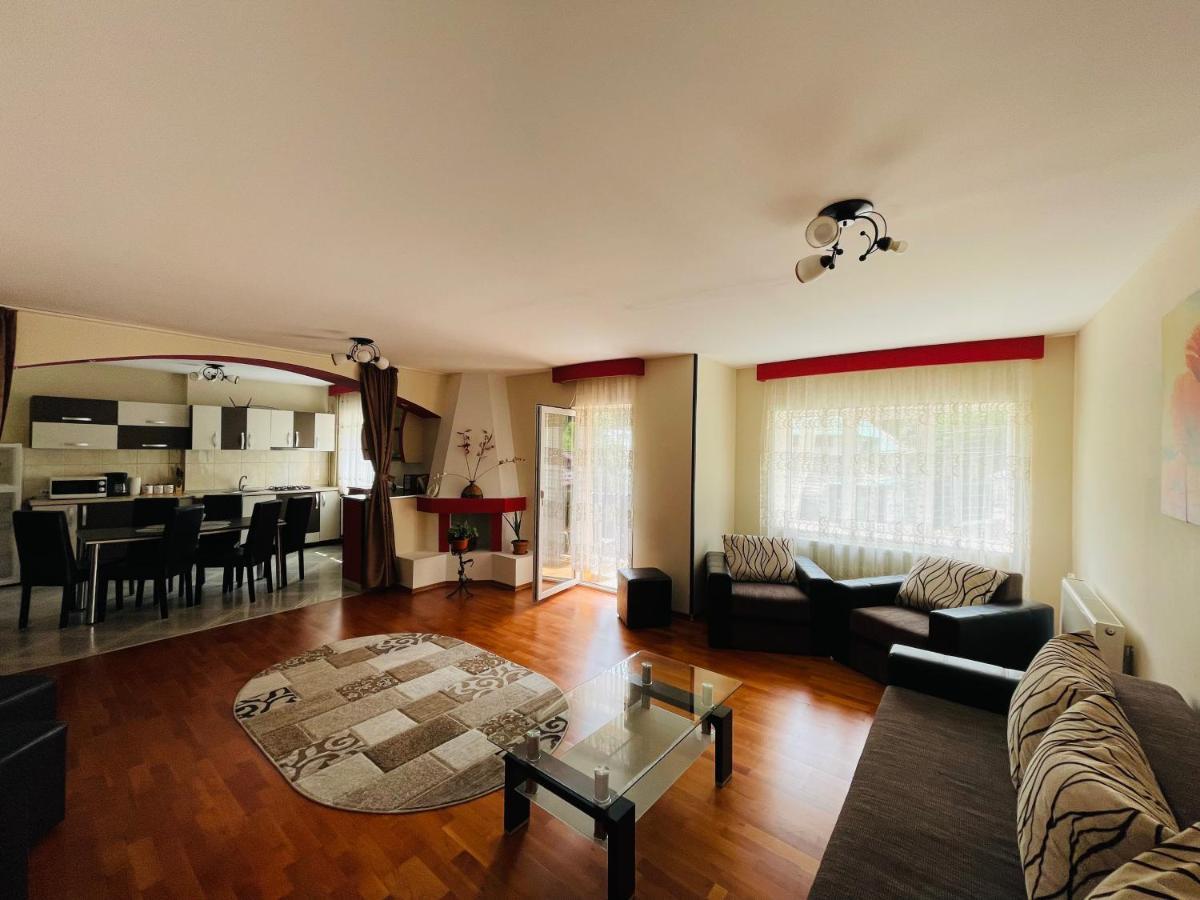 Apartament Extralarge Buşteni エクステリア 写真