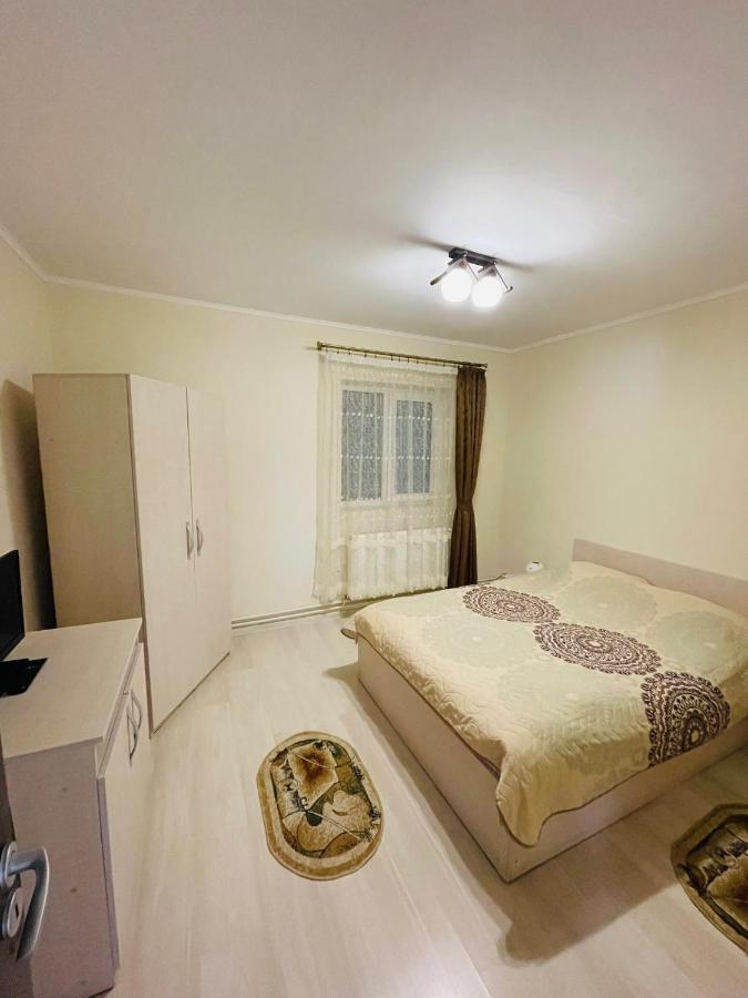 Apartament Extralarge Buşteni エクステリア 写真